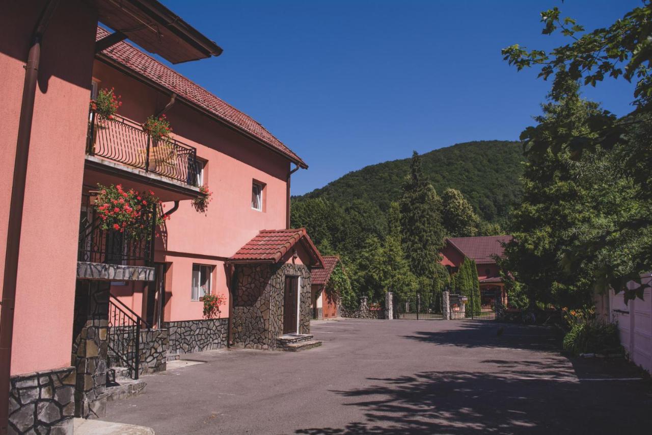 Pensiunea Castel Timisu de Jos